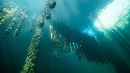 V2i5b5efoovlhrdt0haa8g4vqn0 930X523